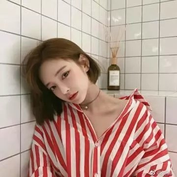 大象与小蝶物语